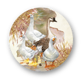 Capa para Sousplat Coleção Duck