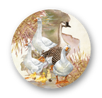 Capa para Sousplat Coleção Duck
